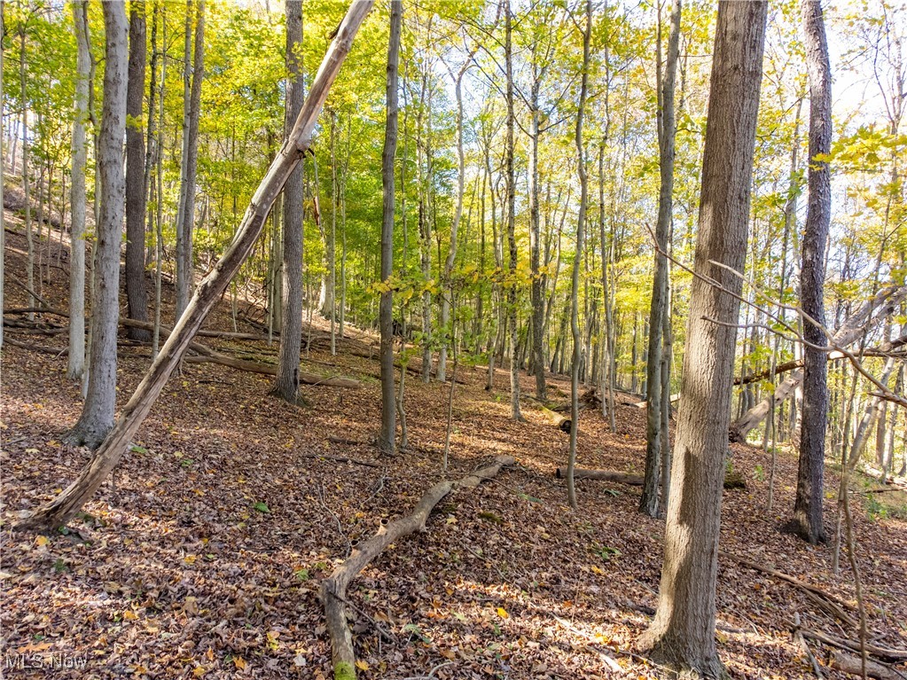 Woodview Drive Property Photo 19