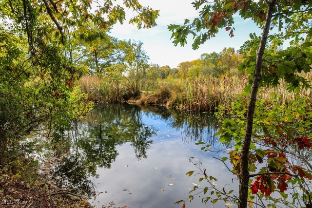 6720 Newton Falls Road Property Photo 36