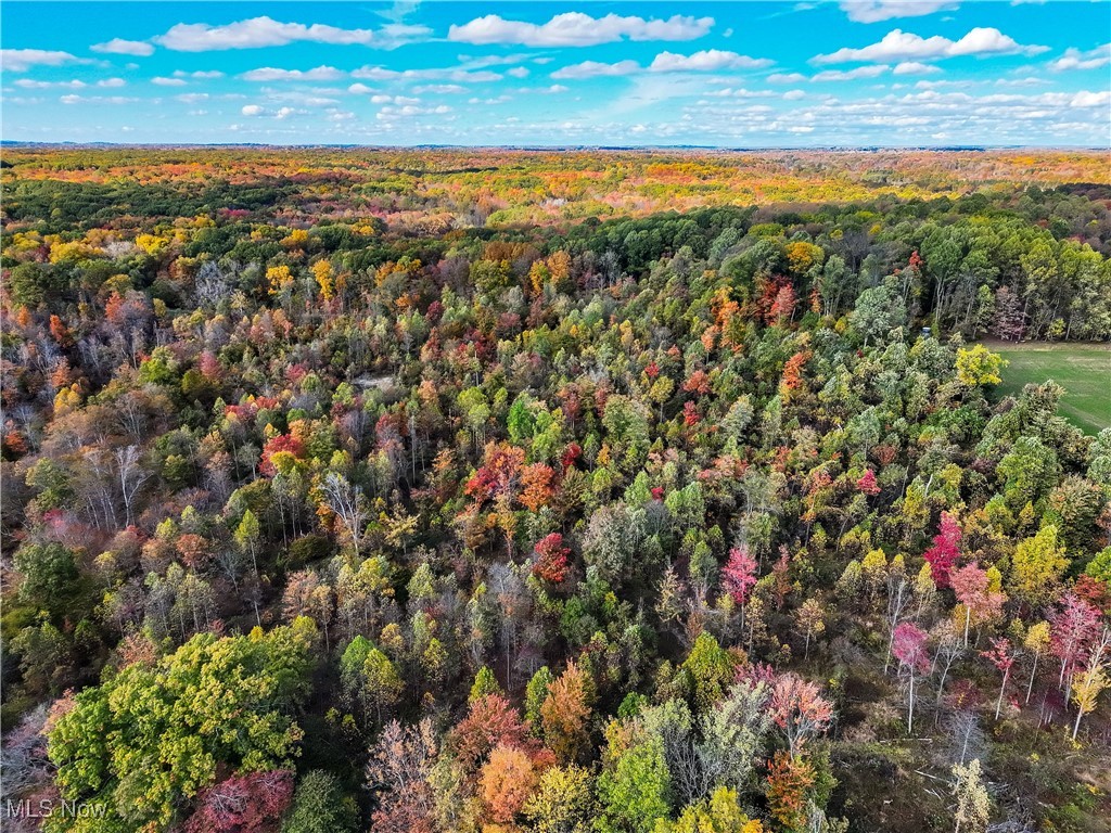 6720 Newton Falls Road Property Photo 40