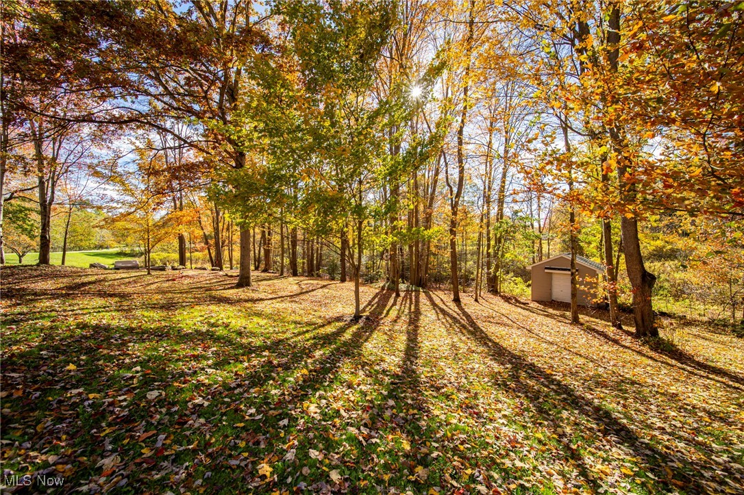 8127 Garfield Drive Property Photo 12