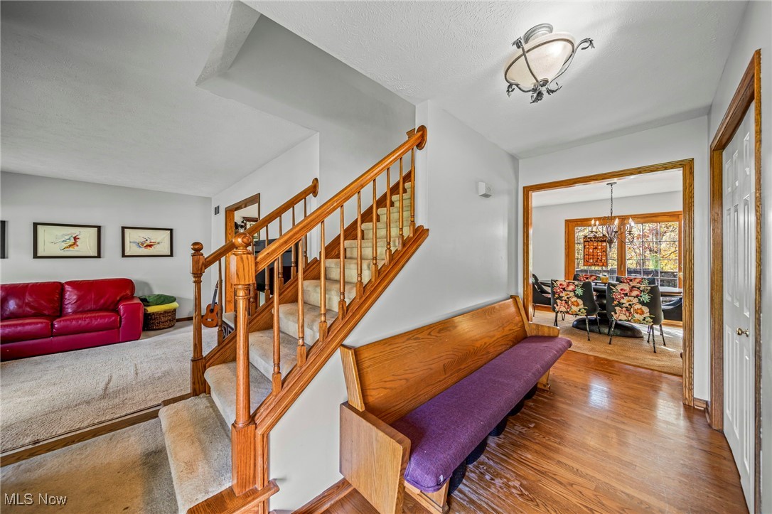 8127 Garfield Drive Property Photo 17