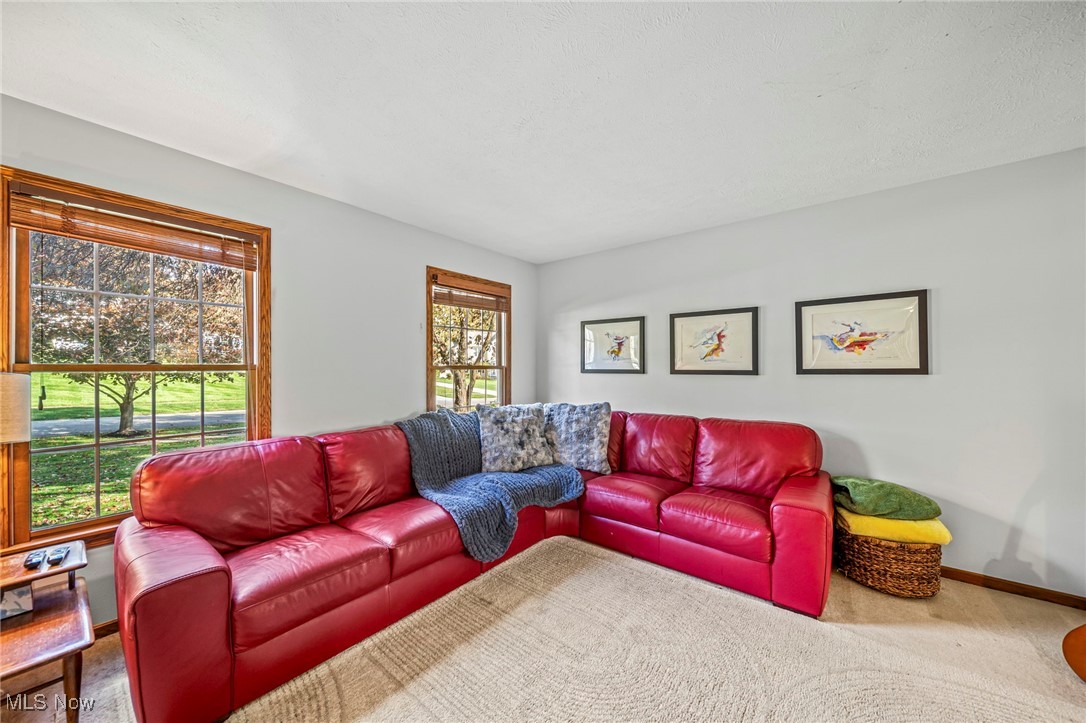 8127 Garfield Drive Property Photo 18