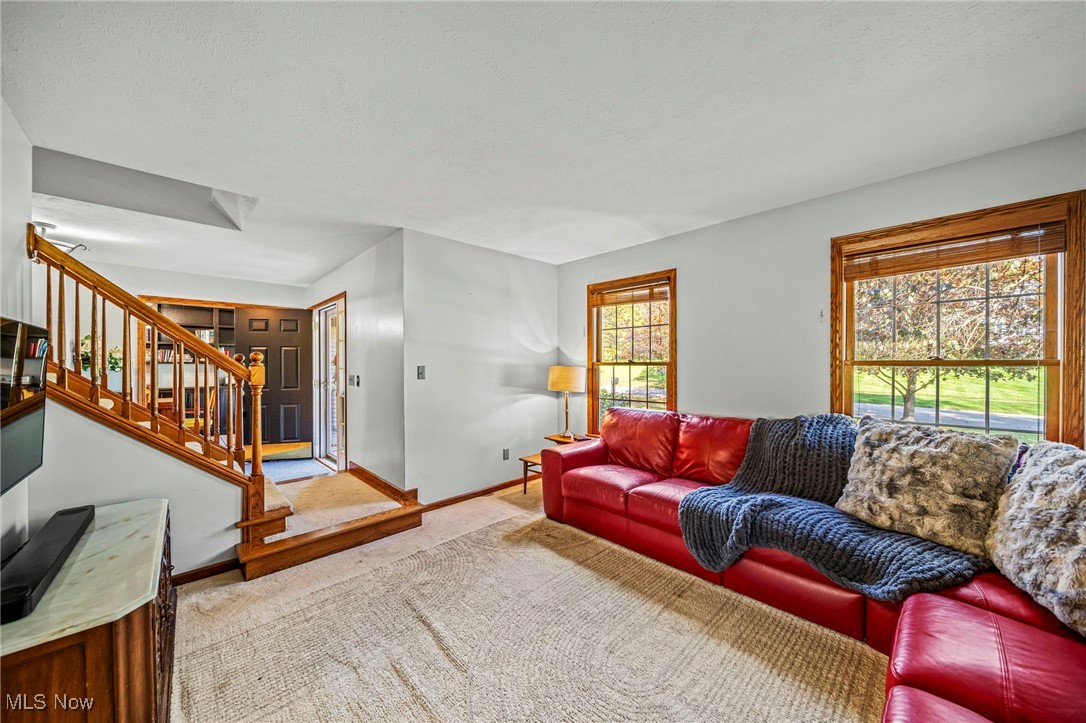 8127 Garfield Drive Property Photo 19