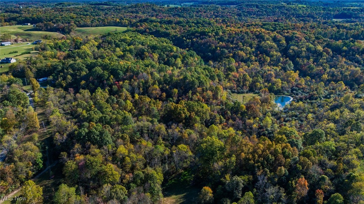 3278 Rough & Ready Road Property Photo 5