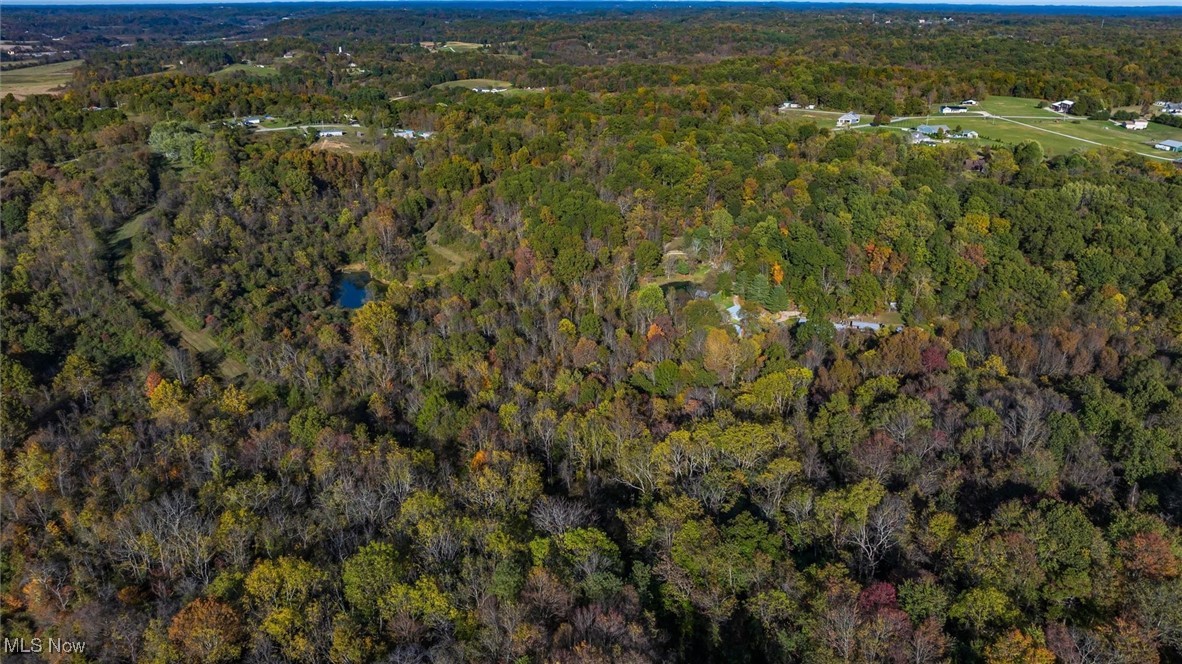 3278 Rough & Ready Road Property Photo 9