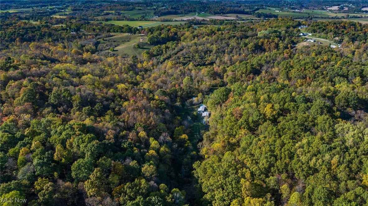 3278 Rough & Ready Road Property Photo 10