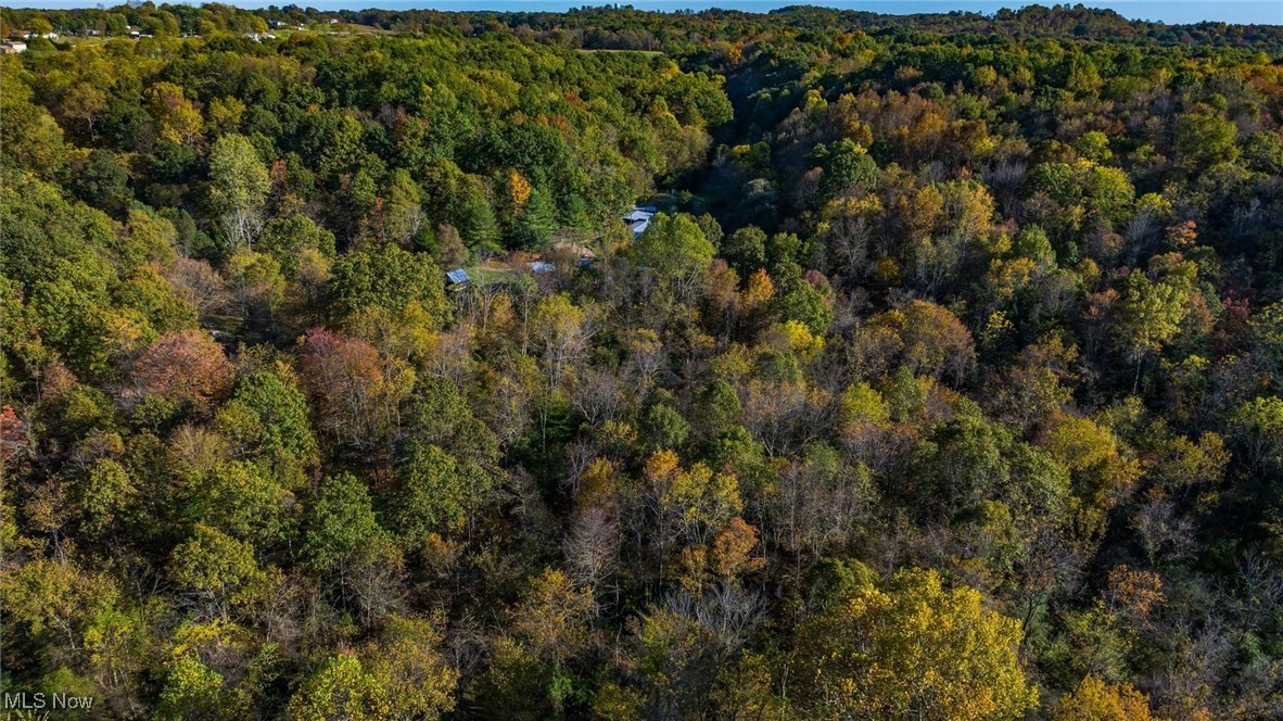 3278 Rough & Ready Road Property Photo 16
