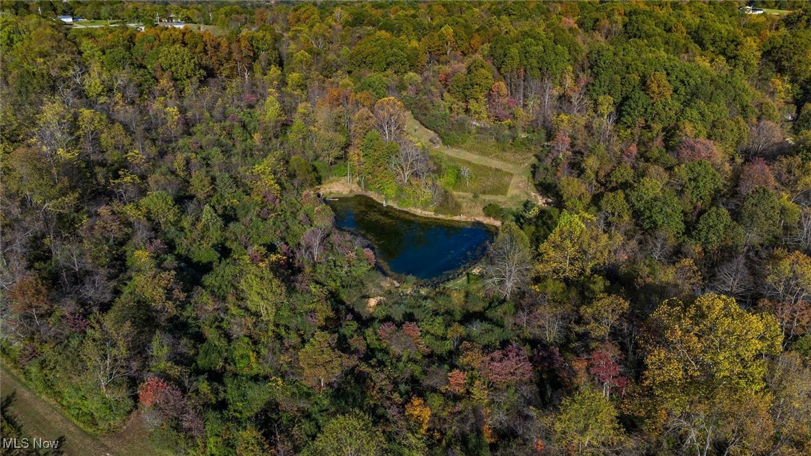 3278 Rough & Ready Road Property Photo 17