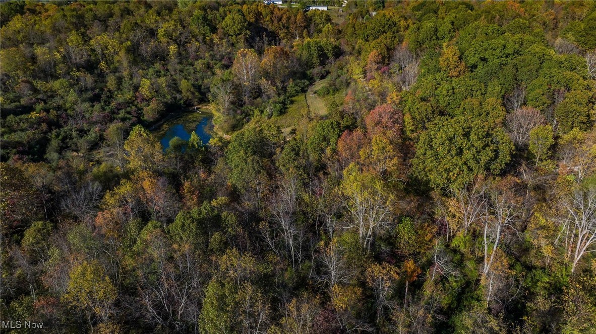 3278 Rough & Ready Road Property Photo 18