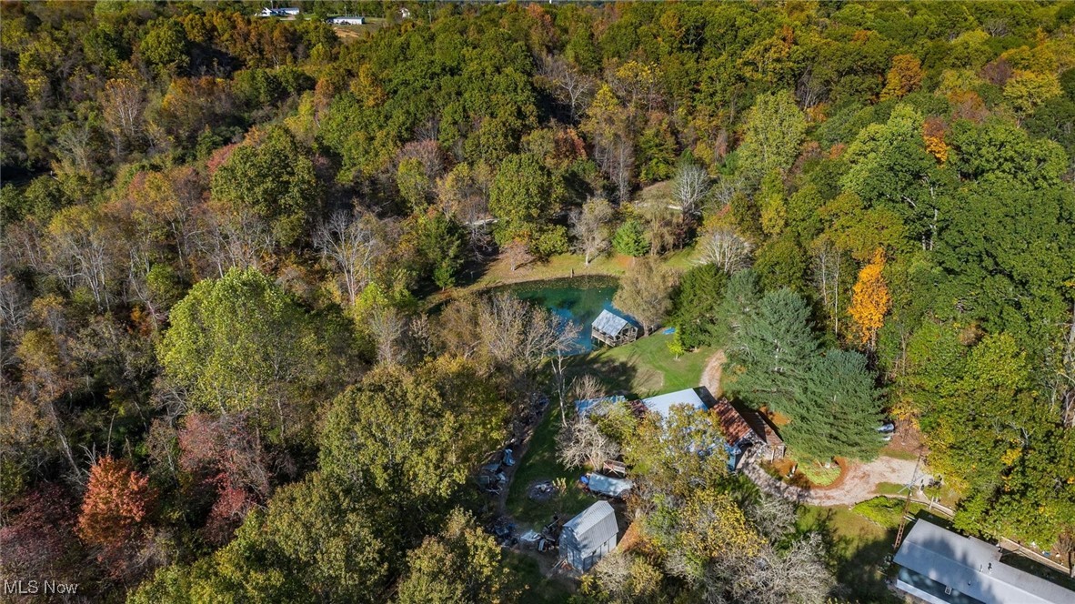 3278 Rough & Ready Road Property Photo 19