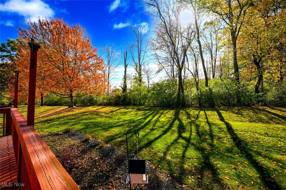 3982 Palace Way Property Photo 4