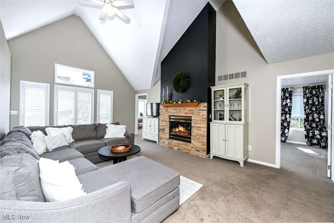 3982 Palace Way Property Photo 6