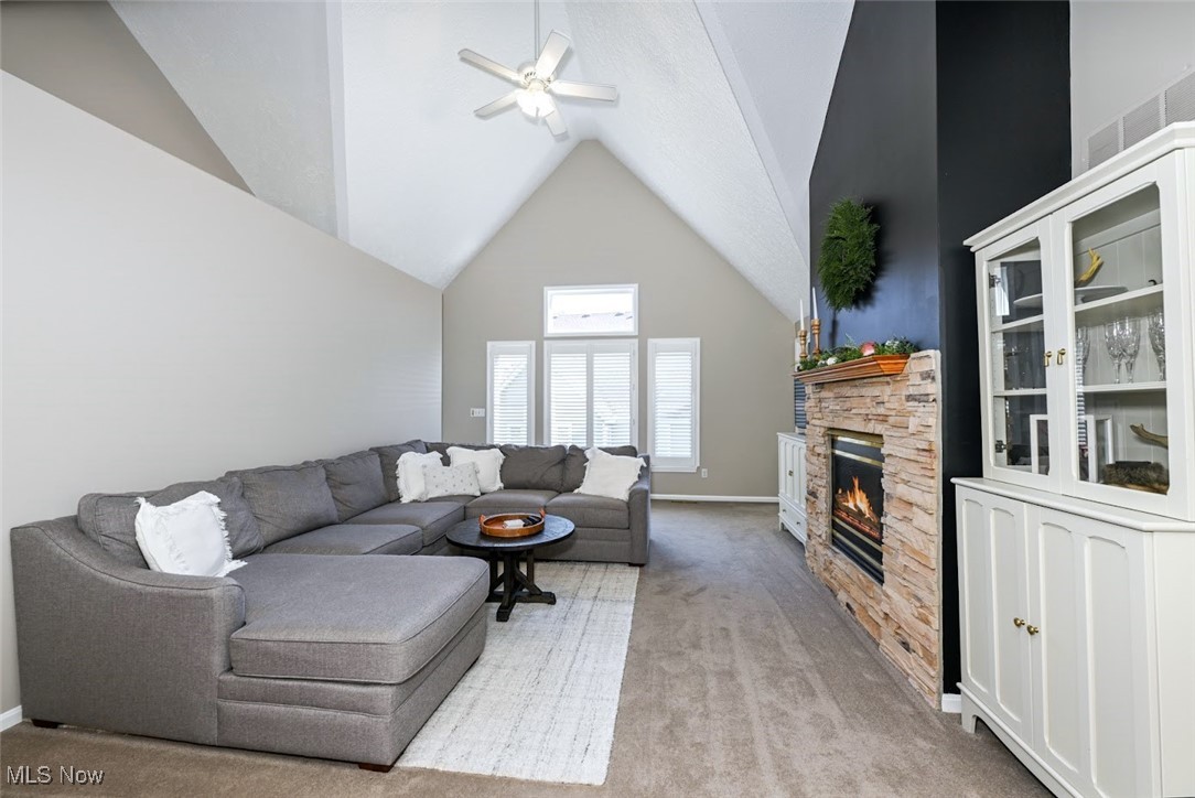 3982 Palace Way Property Photo 8