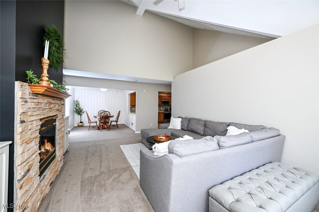 3982 Palace Way Property Photo 9