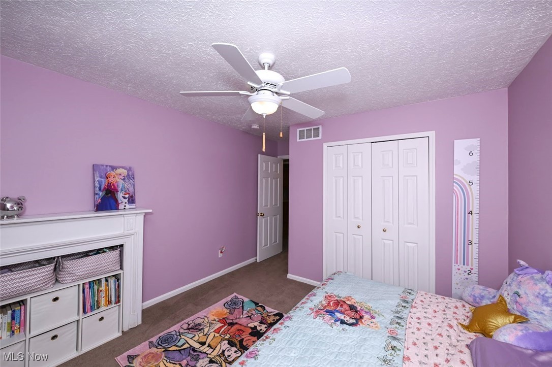 3982 Palace Way Property Photo 20