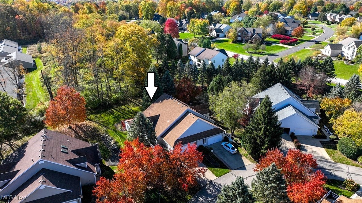 3982 Palace Way Property Photo 37