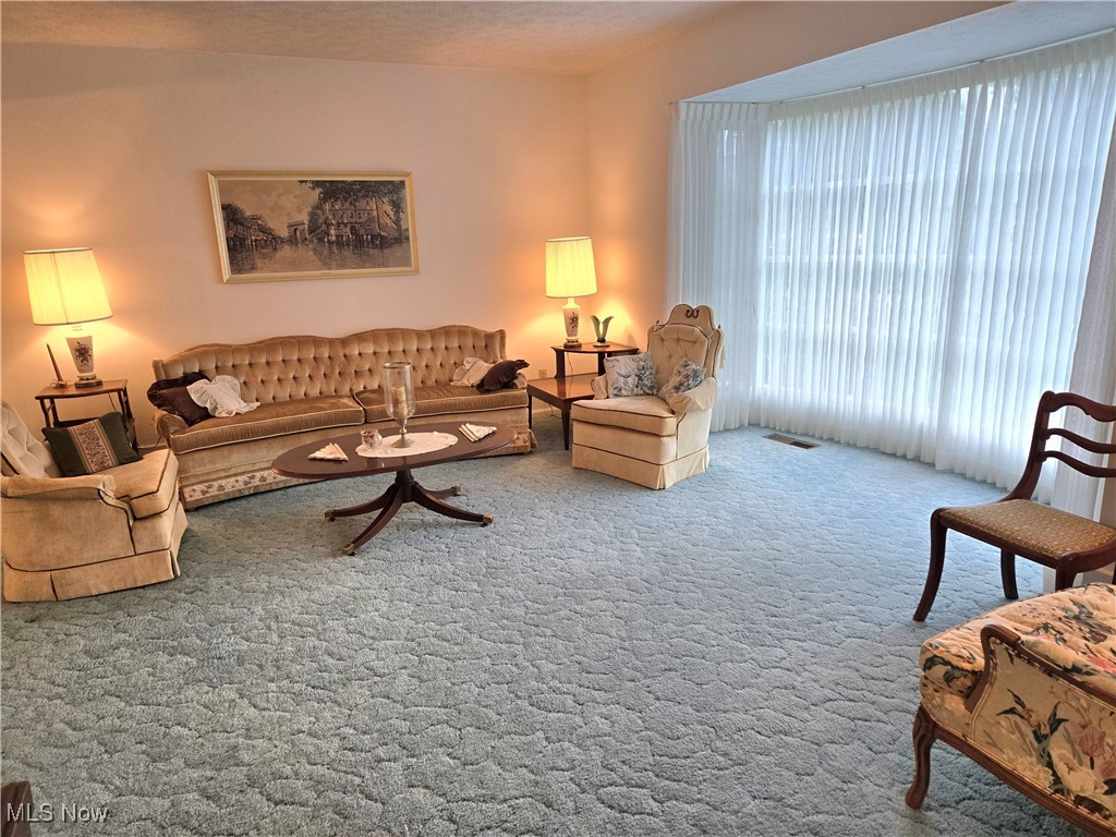 3859 Troon Drive Property Photo 8