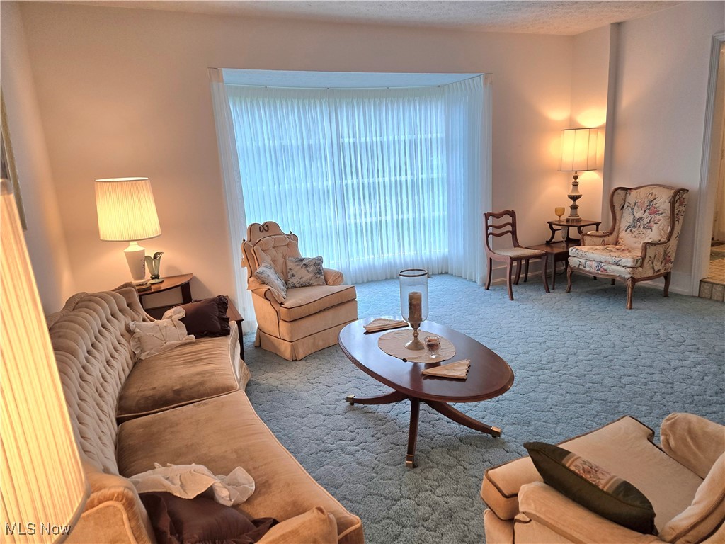 3859 Troon Drive Property Photo 9