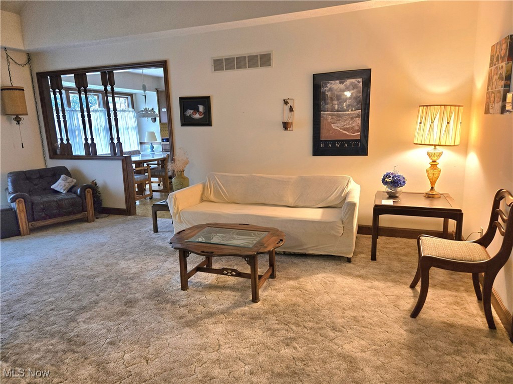 3859 Troon Drive Property Photo 16