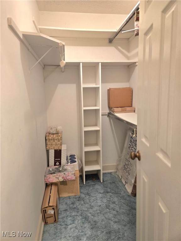 3859 Troon Drive Property Photo 19