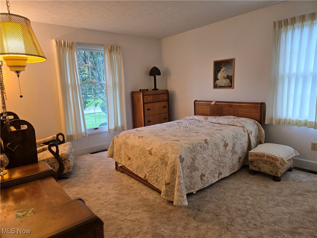 3859 Troon Drive Property Photo 22