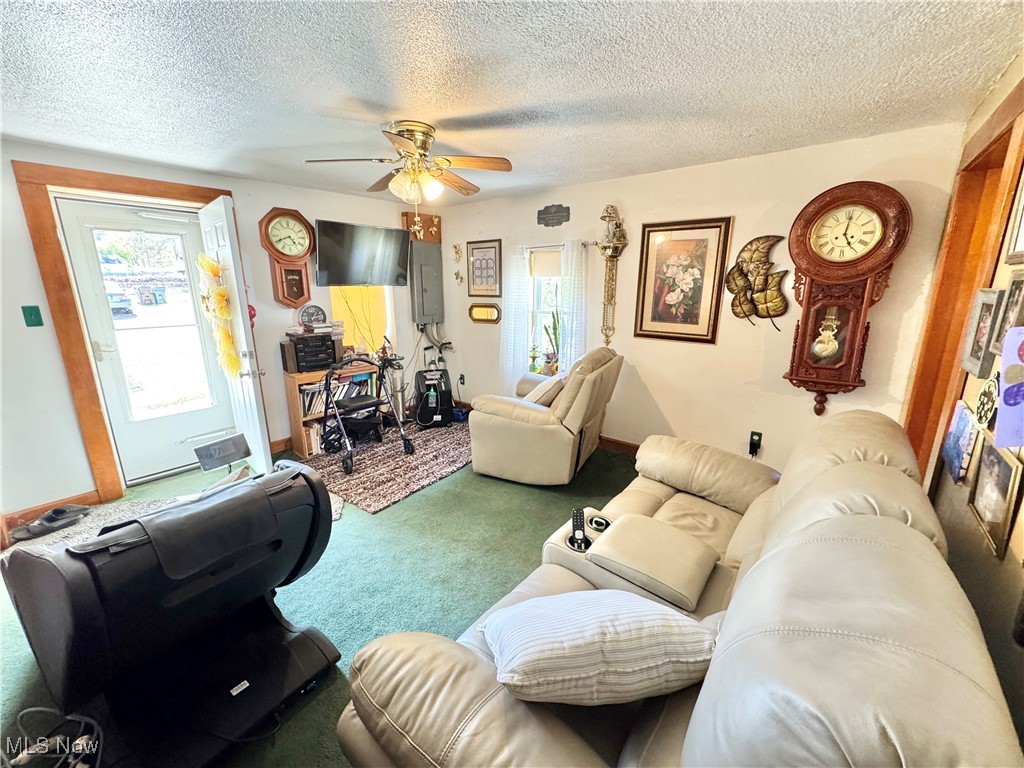 1693 Elfleda Street Property Photo 3