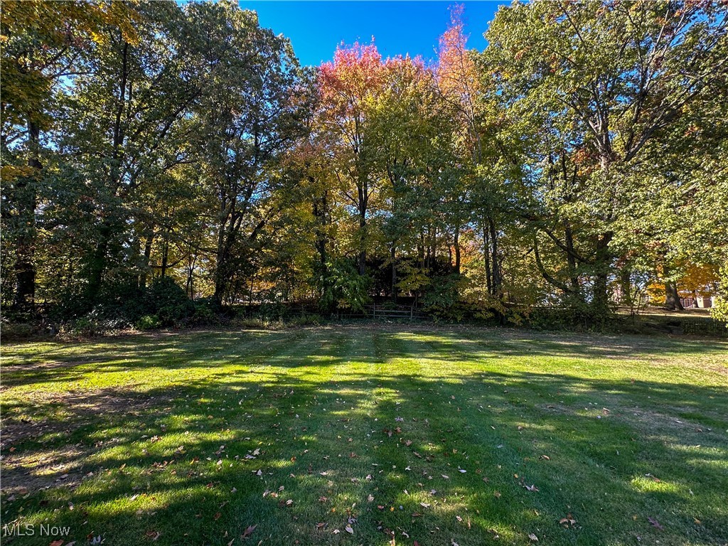 364 Hogarth Avenue Property Photo 47