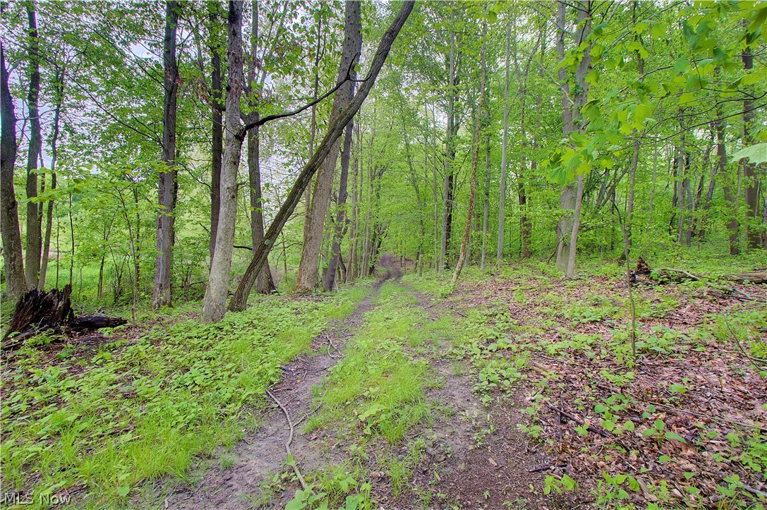 3637 Old Forge Road Property Photo 13