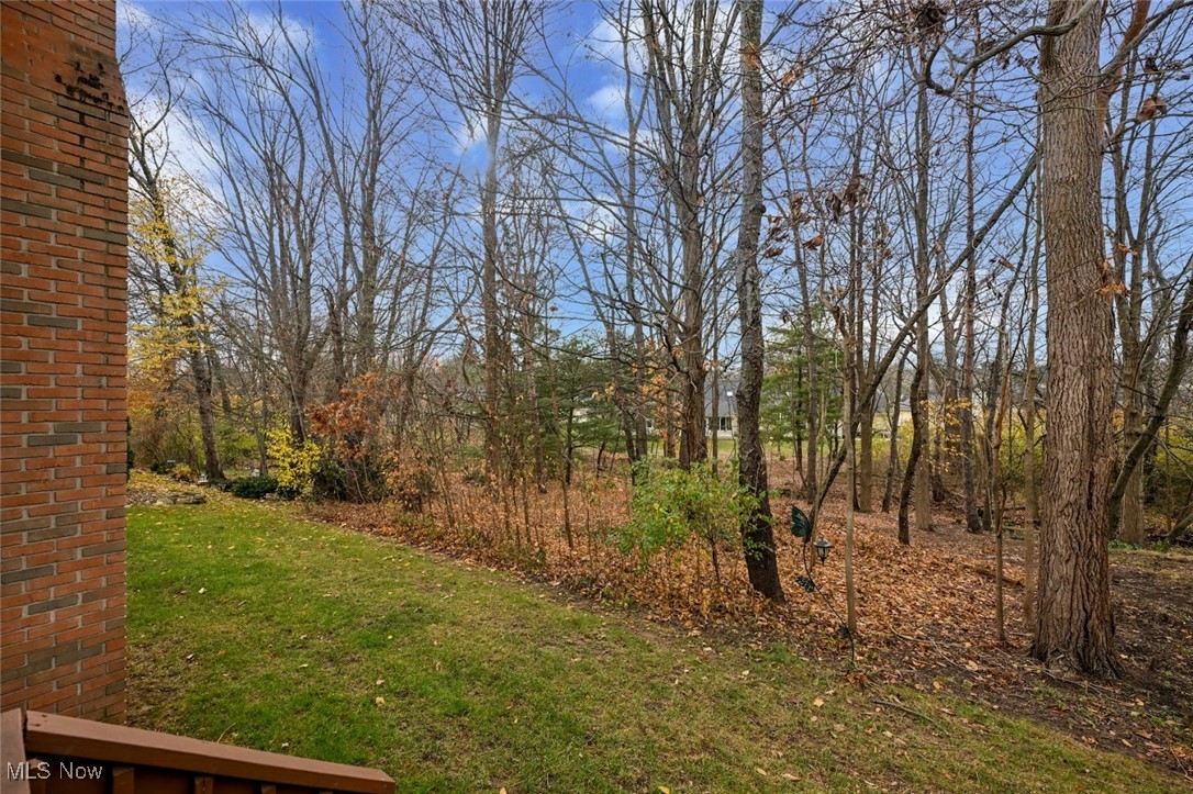 117 Barkwood Drive Property Photo 9