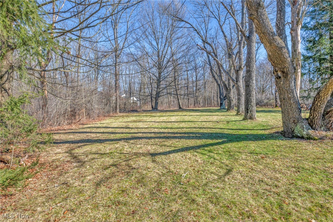 10971 Auburn Road Property Photo 4