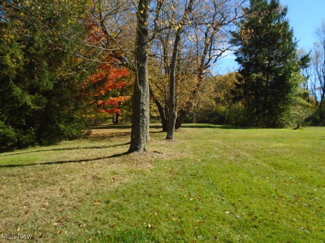 10971 Auburn Road Property Photo 39