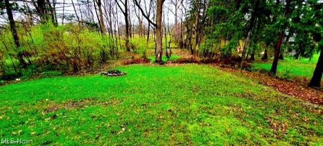 River Road Property Photo 3