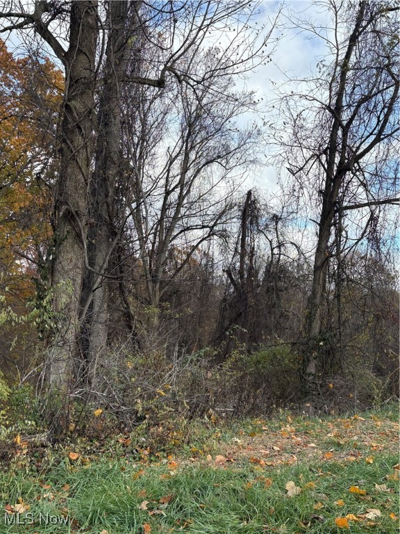 Wanda Street Property Photo 3