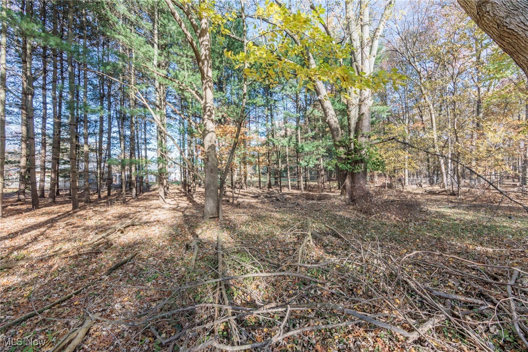 24105 Chardon Road Property Photo 46