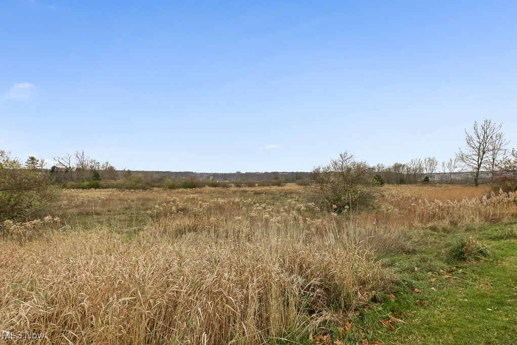 Rockside Road Property Photo 39