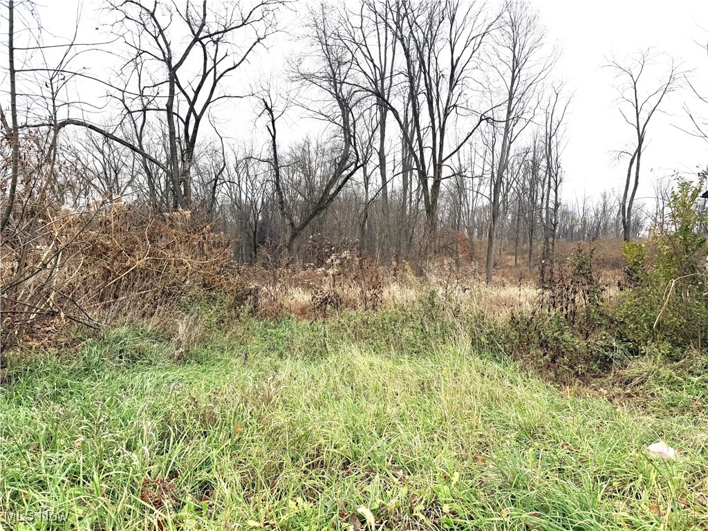 Tbd Greenbrier Road Property Photo 1
