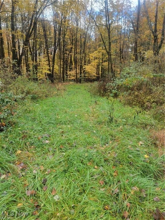 Schaen Drive