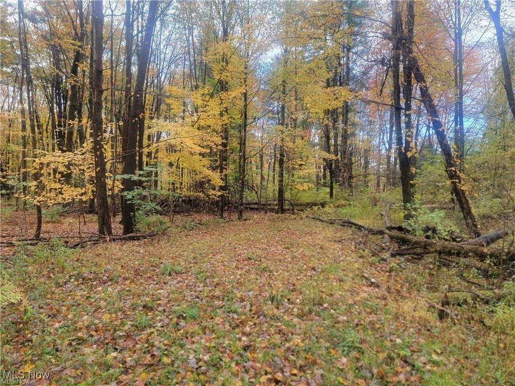 Schaen Drive Property Photo 2