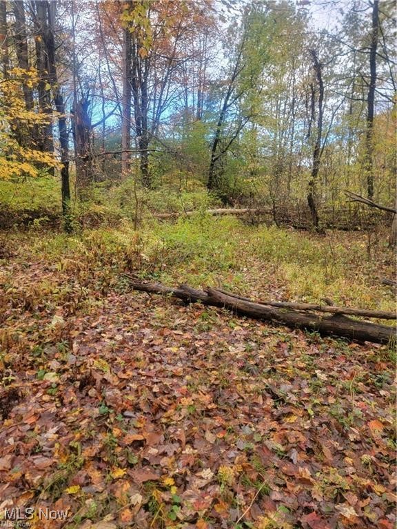 Schaen Drive Property Photo 3