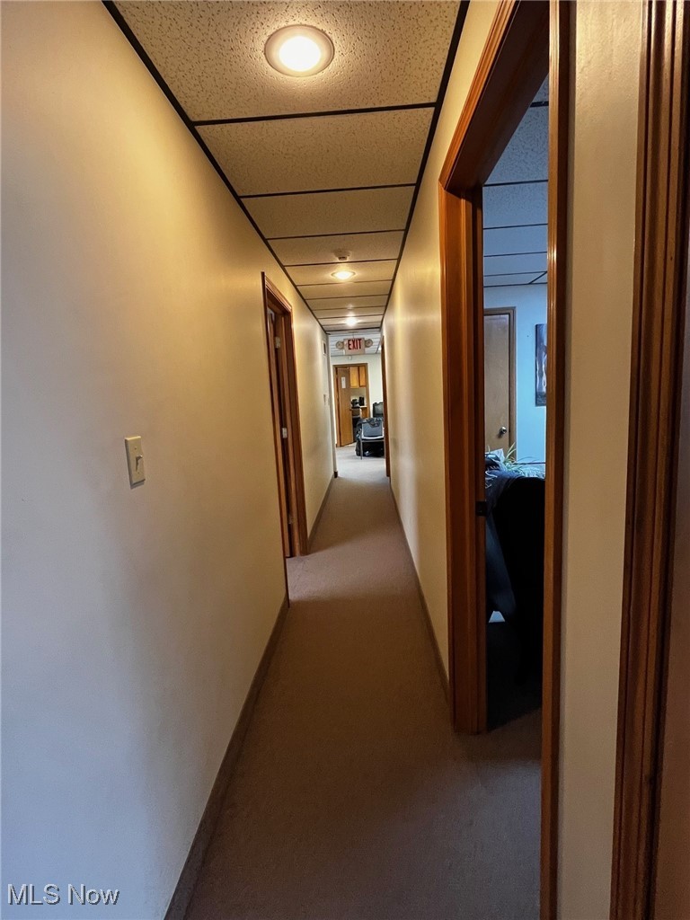 Williams Highway Property Photo 16