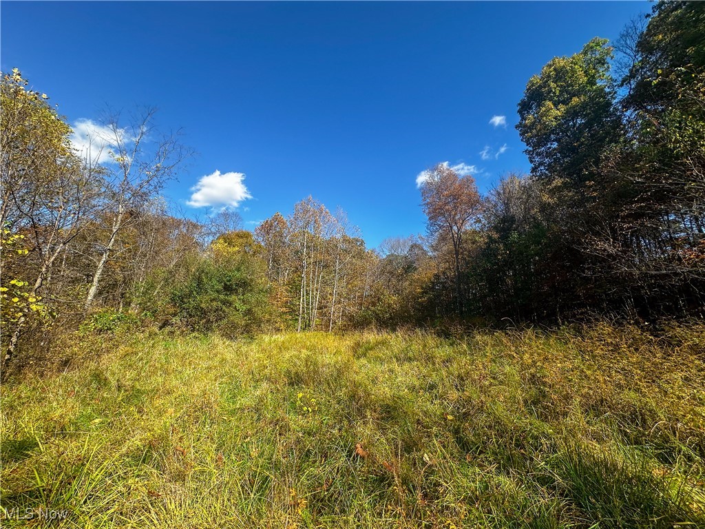 0 Clark Road Property Photo 2