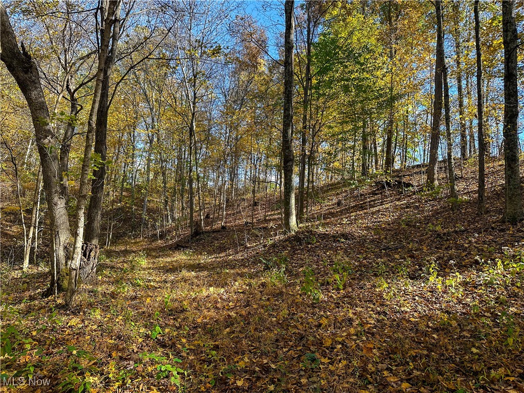 0 Clark Road Property Photo 3