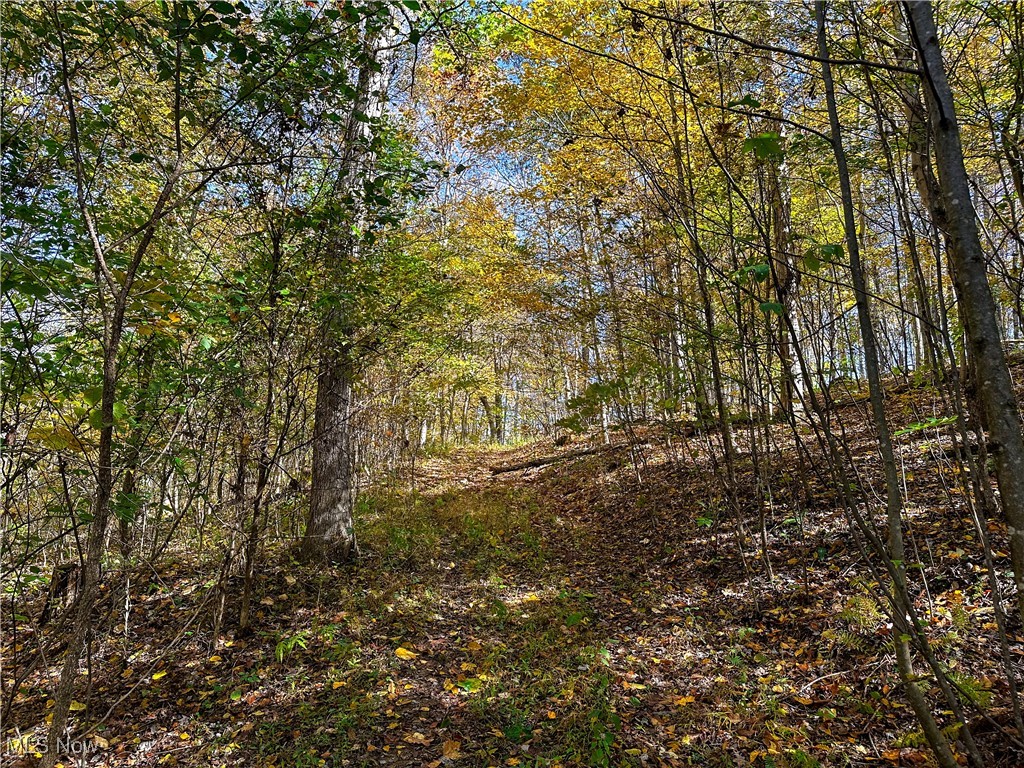 0 Clark Road Property Photo 6