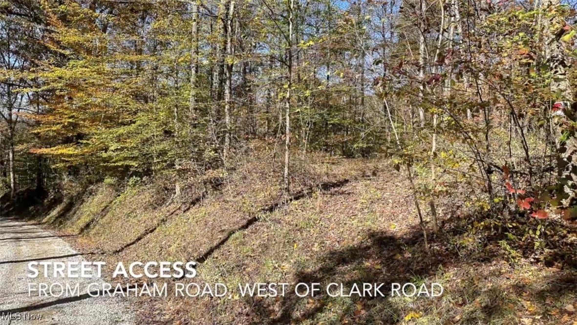 0 Clark Road Property Photo 15
