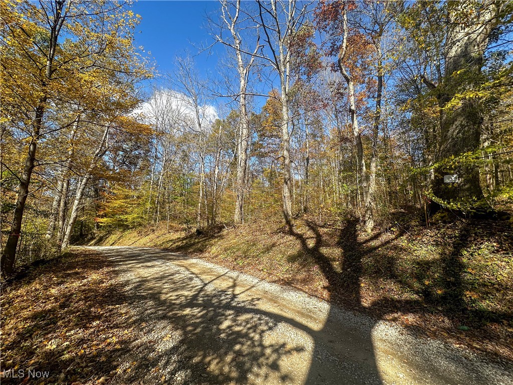 0 Clark Road Property Photo 16