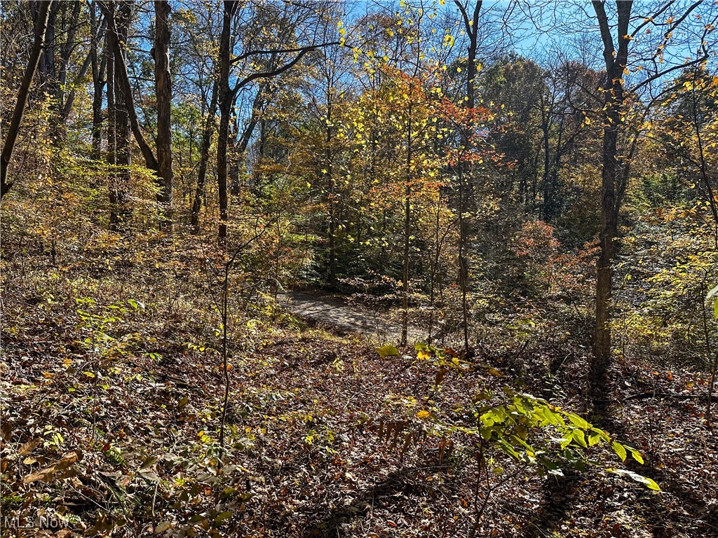 0 Clark Road Property Photo 17