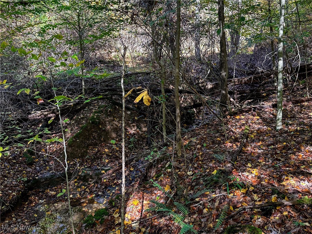 0 Clark Road Property Photo 18