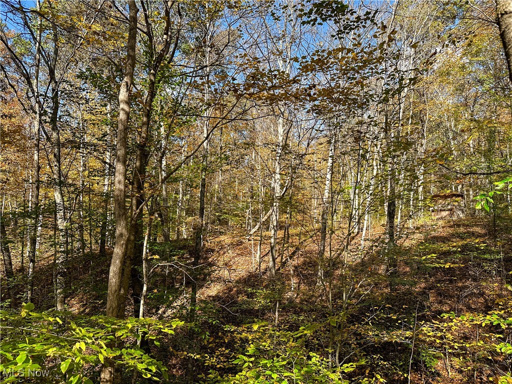 0 Clark Road Property Photo 19