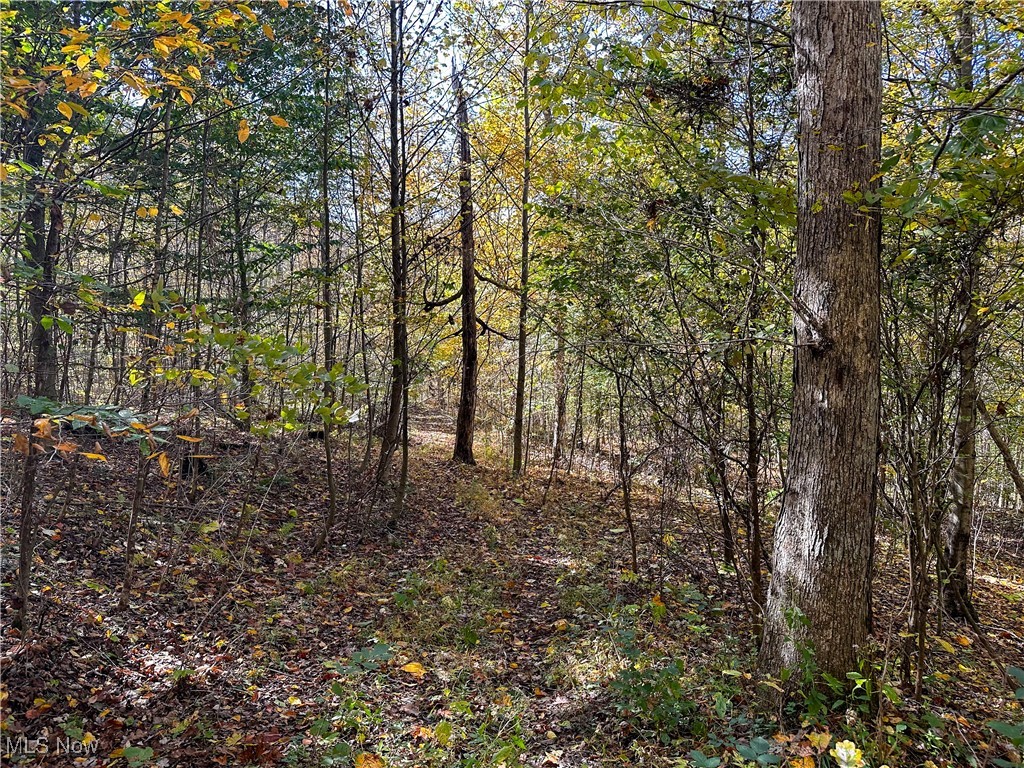 0 Clark Road Property Photo 20