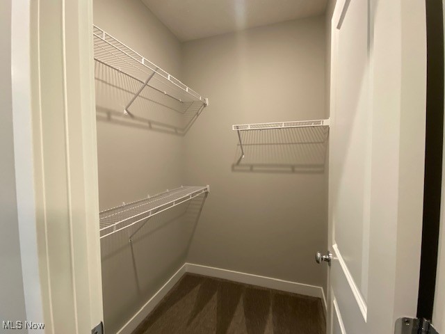 4316 Literary Lane Property Photo 11